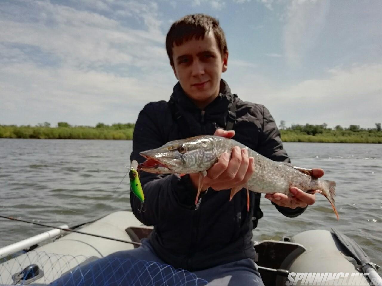 Рыбалка нефтекамск. Клёв рыбы в Юрге на реке Томь. Где в Нефтекамске можно рыбачить.